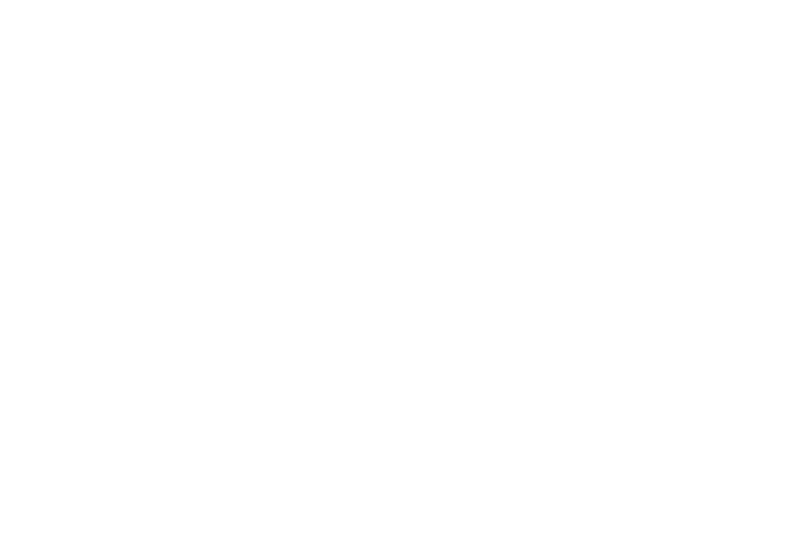 Schnell Automotive